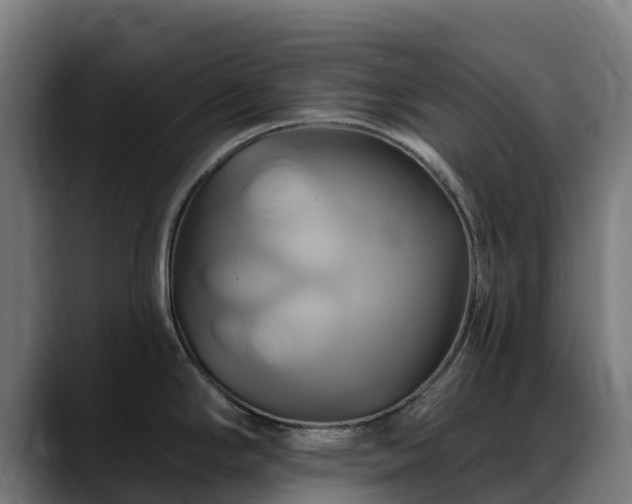 X0000088471294200705291542