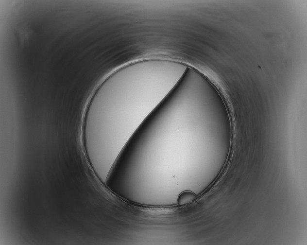 X0000088471296200705291542