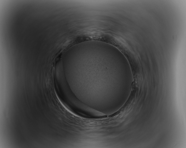 X0000088471298200705291541