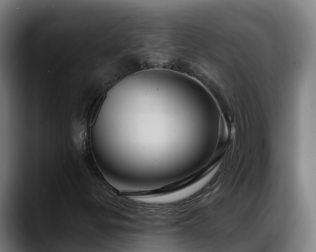 X0000088471299200705291541