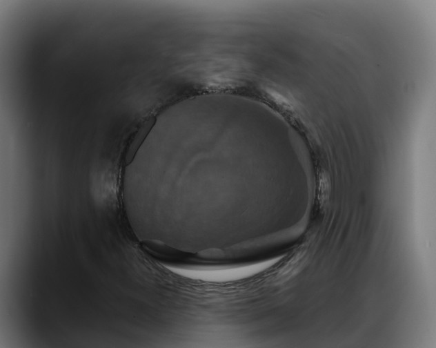 X0000088471300200705291541