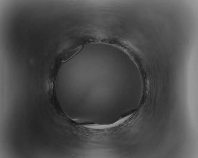X0000088471302200705291541