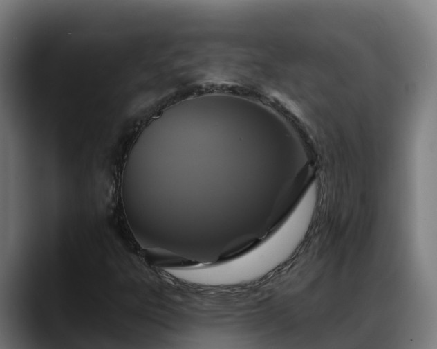X0000088471303200705291541