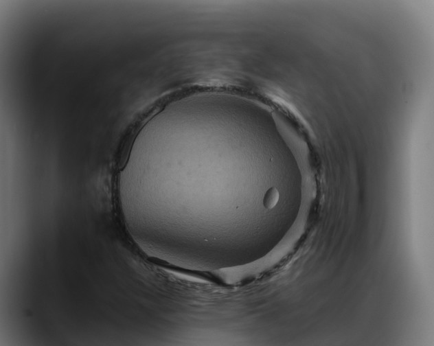 X0000088471304200705291541
