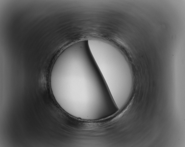 X0000088471305200705291541
