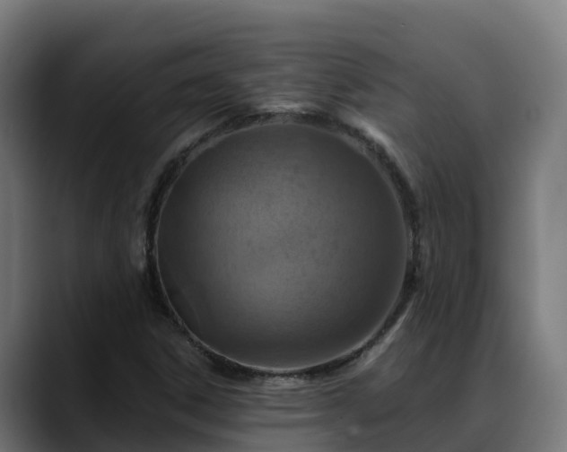 X0000088471306200705291541