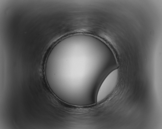 X0000088471308200705291541