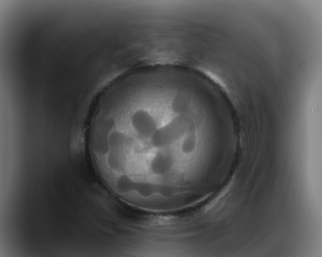 X0000088471309200705291541