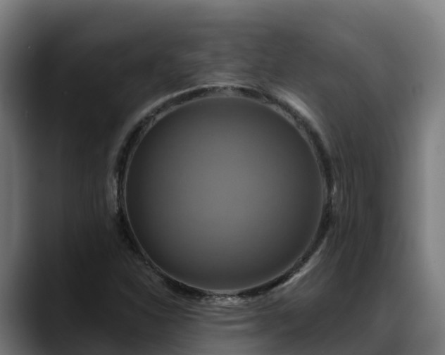 X0000088471310200705291541