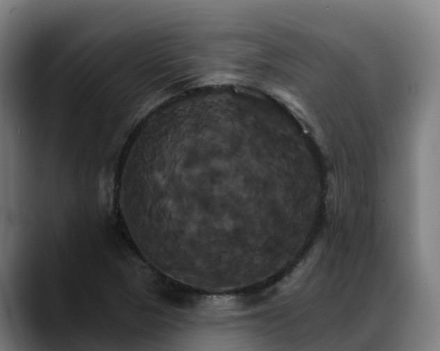X0000088471313200705291541