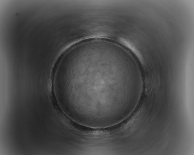 X0000088471316200705291541