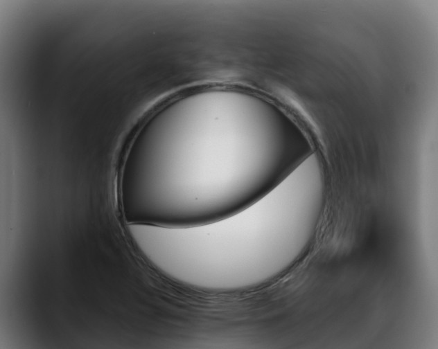 X0000088471320200705291541