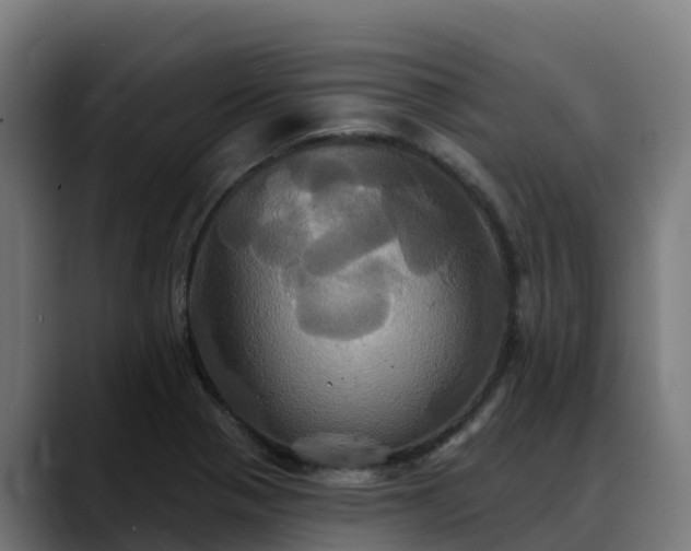 X0000088471321200705291541