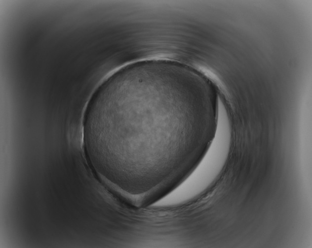 X0000088471324200705291541
