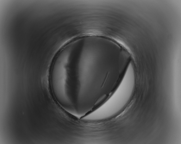 X0000088471325200705291541