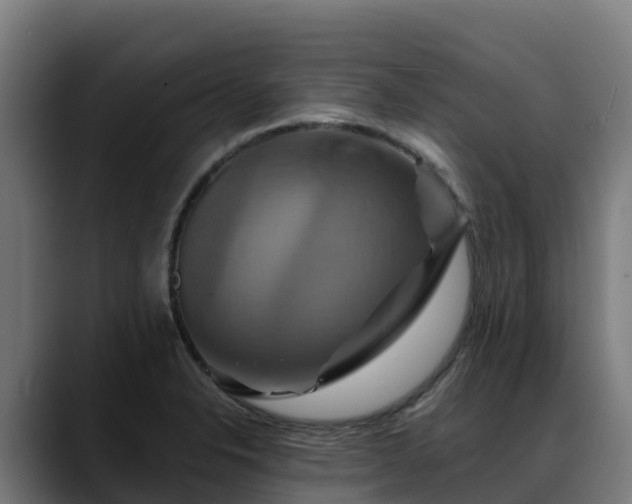 X0000088471326200705291541