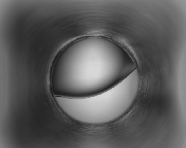 X0000088471328200705291541