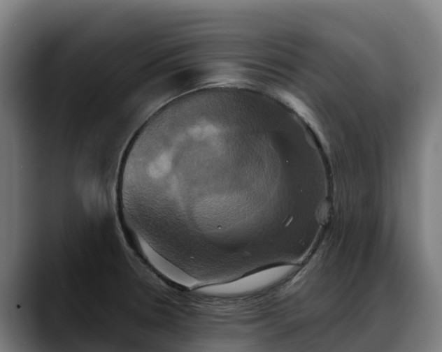 X0000088471330200705291541