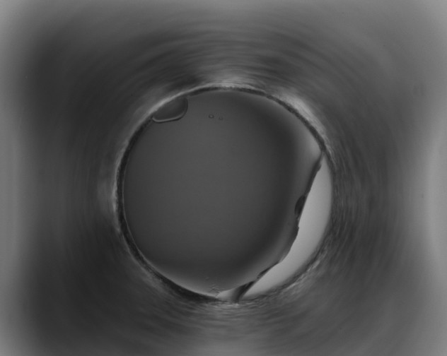 X0000088471331200705291541