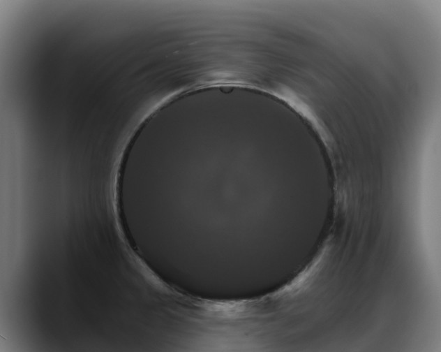 X0000088471333200705291542