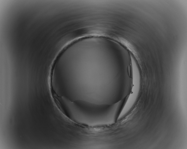 X0000088471334200705291542
