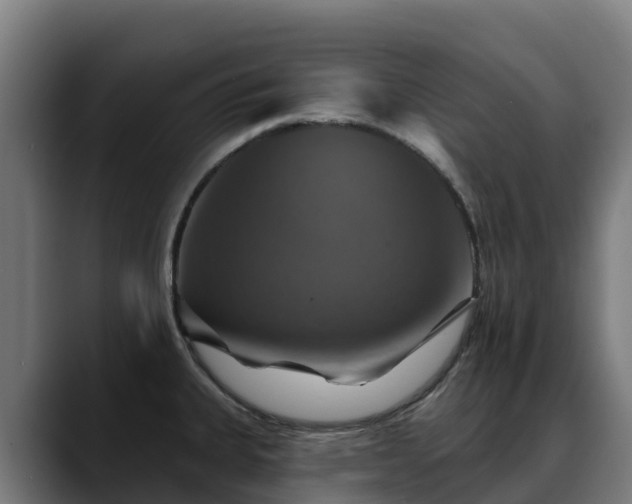 X0000088471335200705291542
