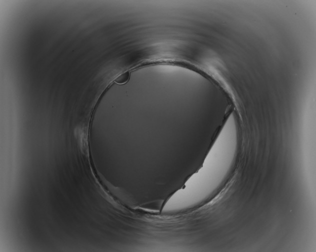 X0000088471337200705291542