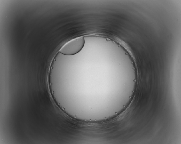 X0000088471338200705291542