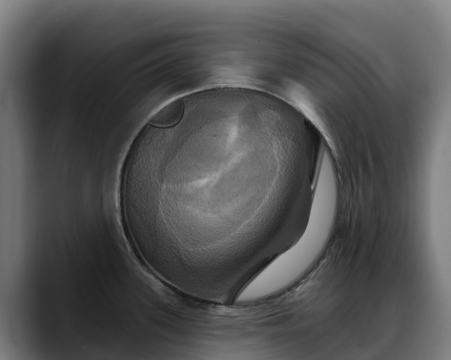 X0000088471339200705291542