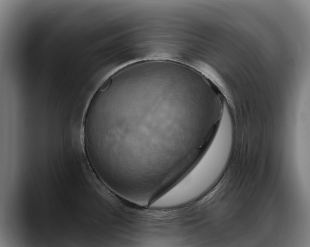 X0000088471340200705291542