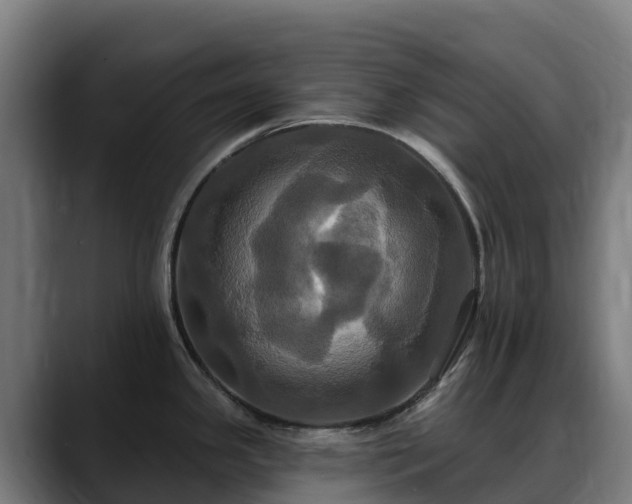 X0000088471341200705291542