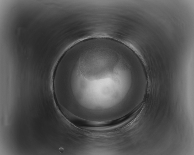 X0000088471342200705291542