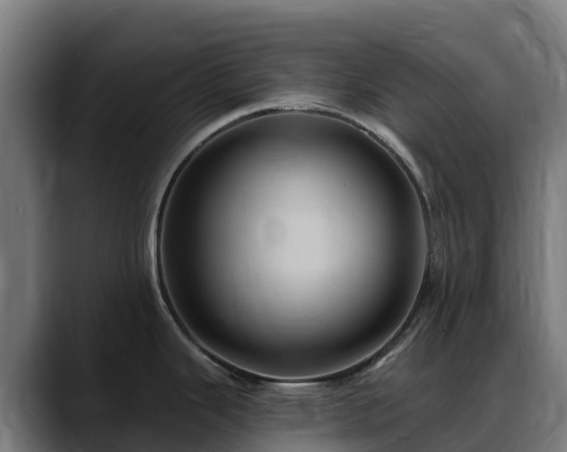 X0000088471343200705291542