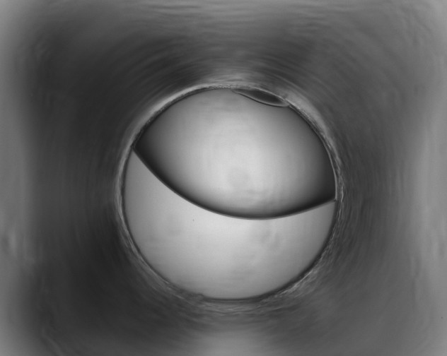 X0000088471344200705291542