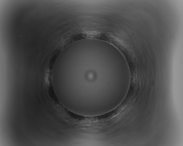 X0000088471346200705291541