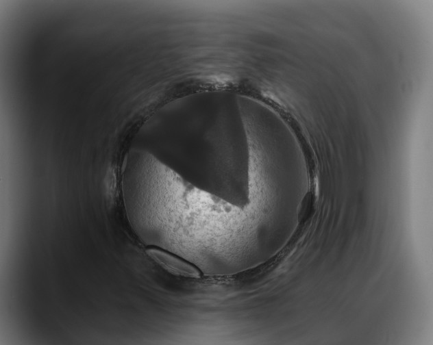 X0000088471347200705291541