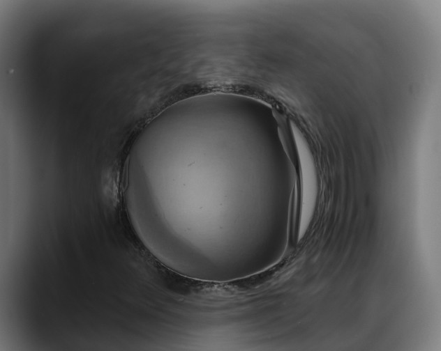 X0000088471348200705291541