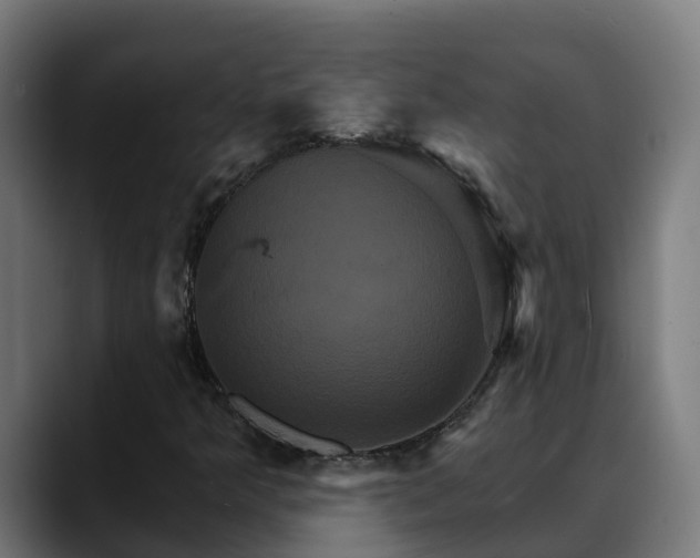 X0000088471349200705291541