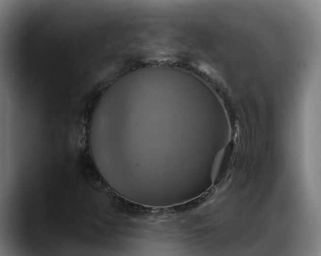 X0000088471350200705291541
