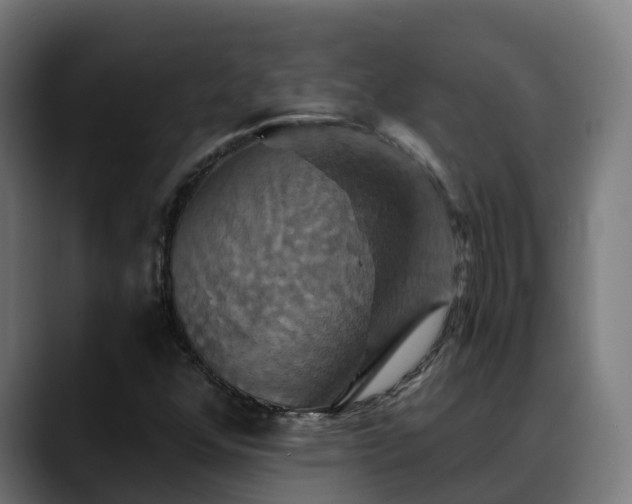 X0000088471352200705291541