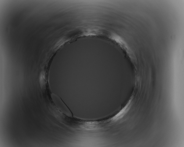 X0000088471353200705291541