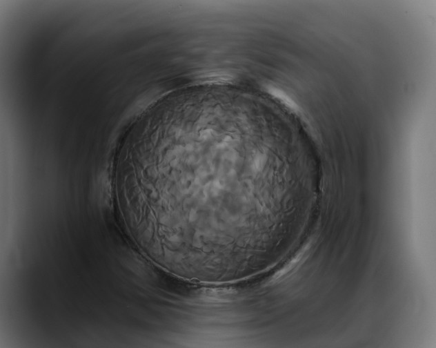X0000088471354200705291541