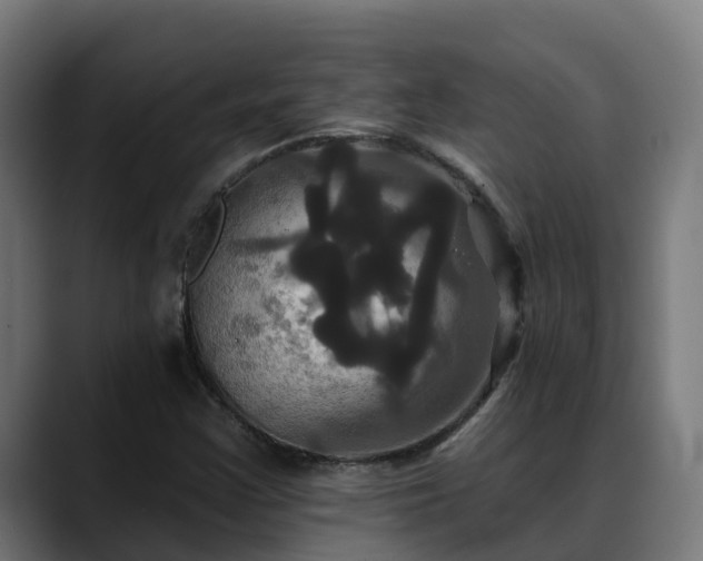 X0000088471355200705291541