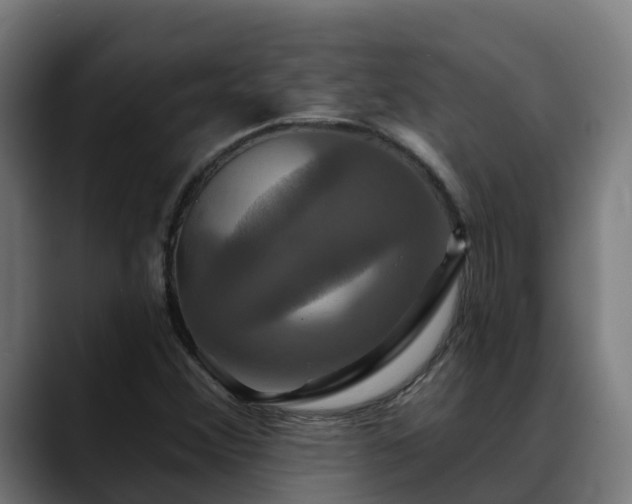 X0000088471356200705291541