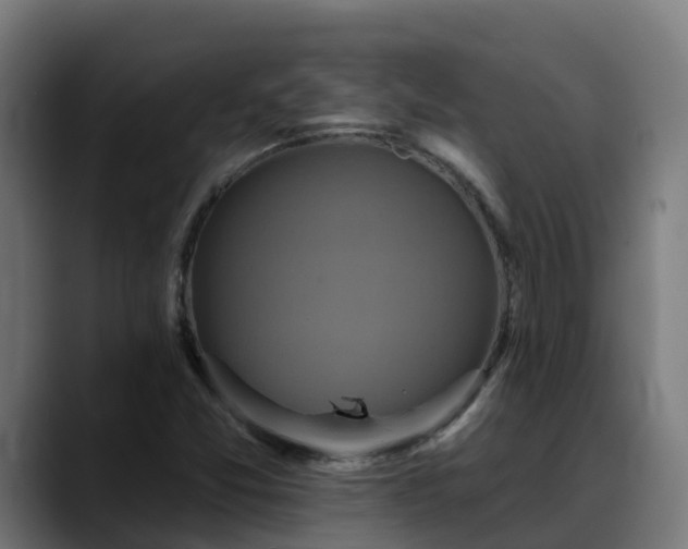 X0000088471357200705291541
