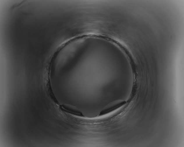 X0000088471359200705291541