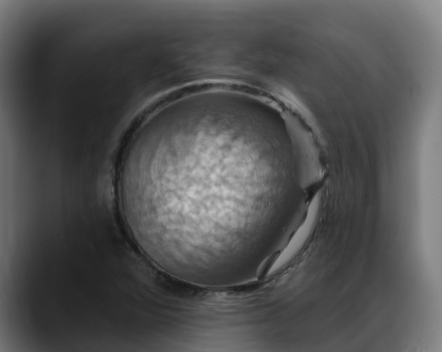 X0000088471360200705291541