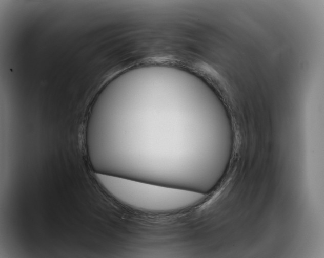 X0000088471361200705291541