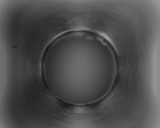 X0000088471364200705291541