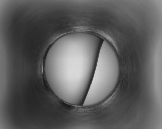X0000088471365200705291541